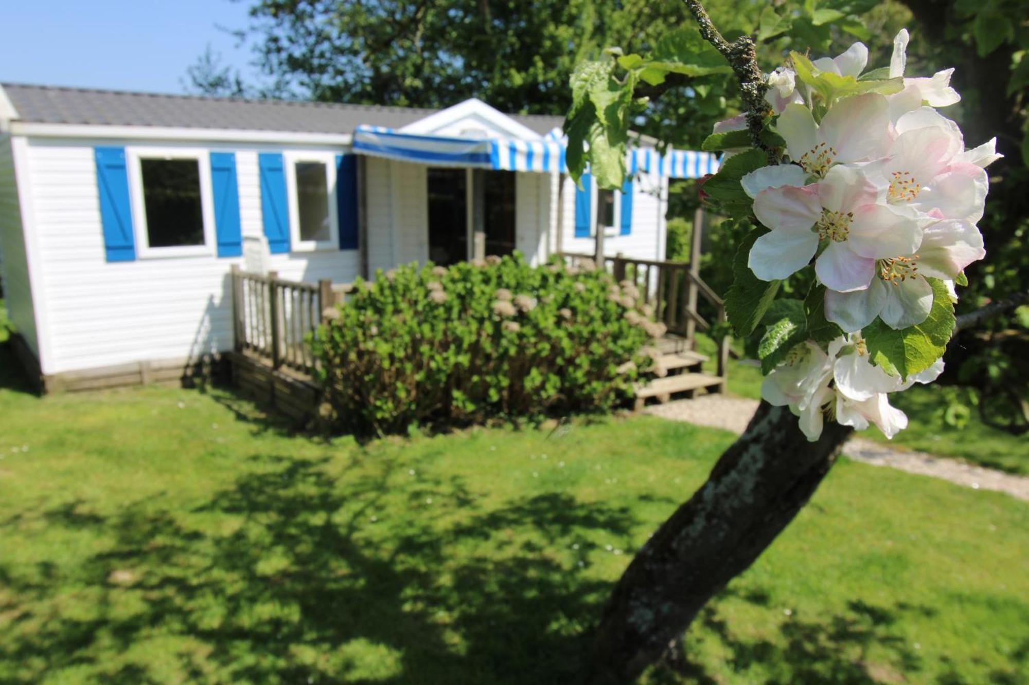 Camping Pommiers Des Trois Pays Licques Esterno foto