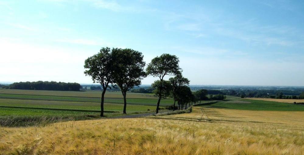 Camping Pommiers Des Trois Pays Licques Esterno foto